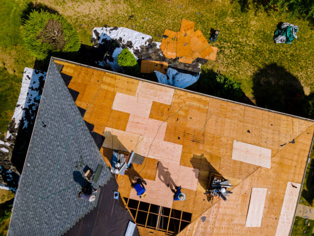 Best Gutter Installation and Roofing  in Daleville, VA