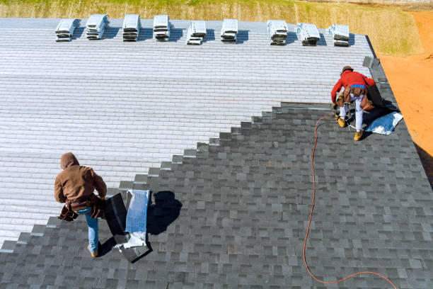 Best Roof Gutter Cleaning  in Daleville, VA