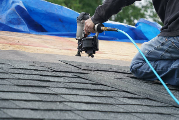 Best Roof Leak Repair  in Daleville, VA