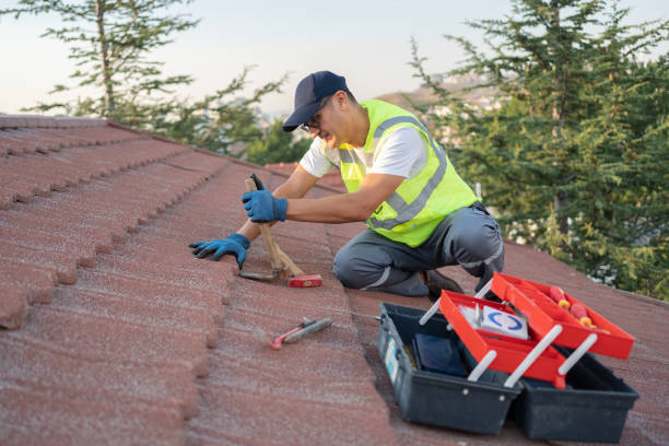 Best Affordable Roof Replacement  in Daleville, VA