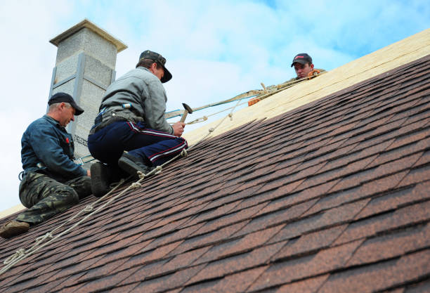 Gutter Installation and Roofing in Daleville, VA