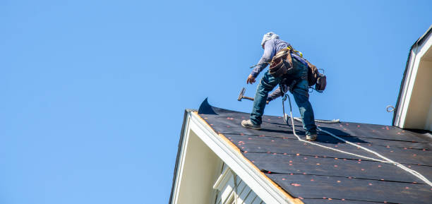 Best Roof Waterproofing Services  in Daleville, VA